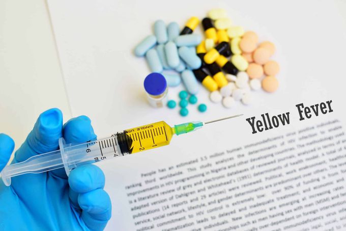 Treatment for yellow fever