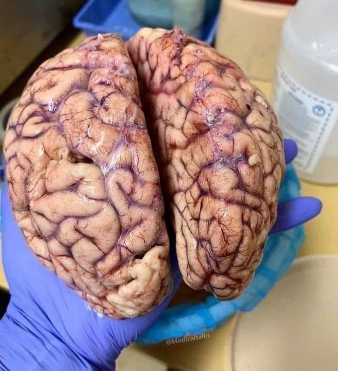 The biochemistry of memory formation and its regulation by hormones and neuromodulators