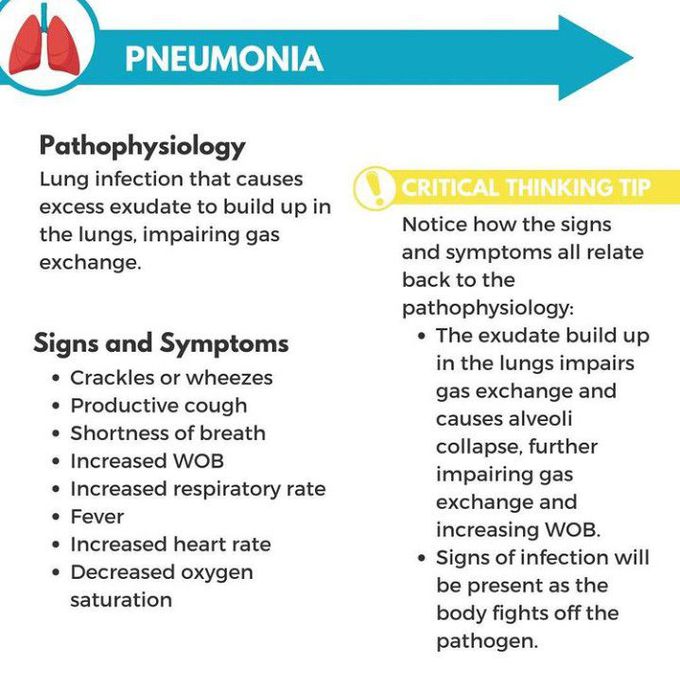 Pnemonia- Pathophysiology