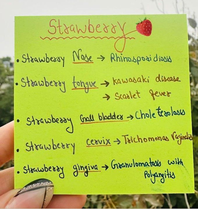 Strawberry in Medicine