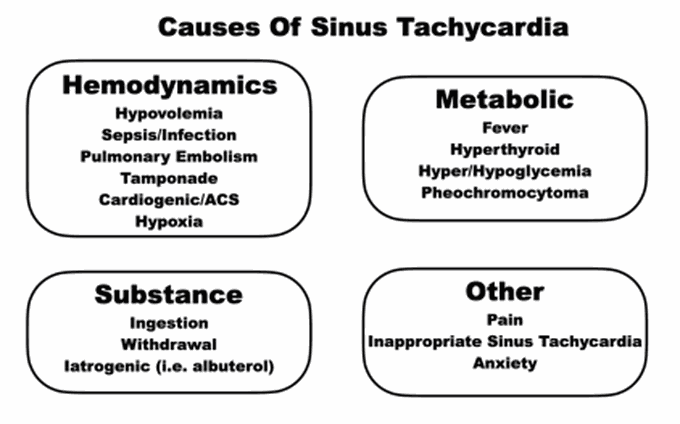 Cause of Sinus Tachycardia