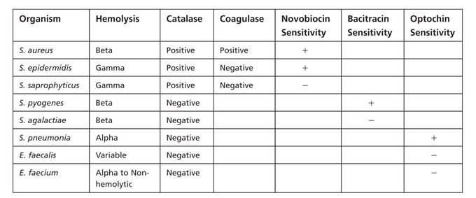 High yield Microbiology USMLE STE 1