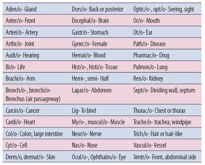 medical term 🌹🌹