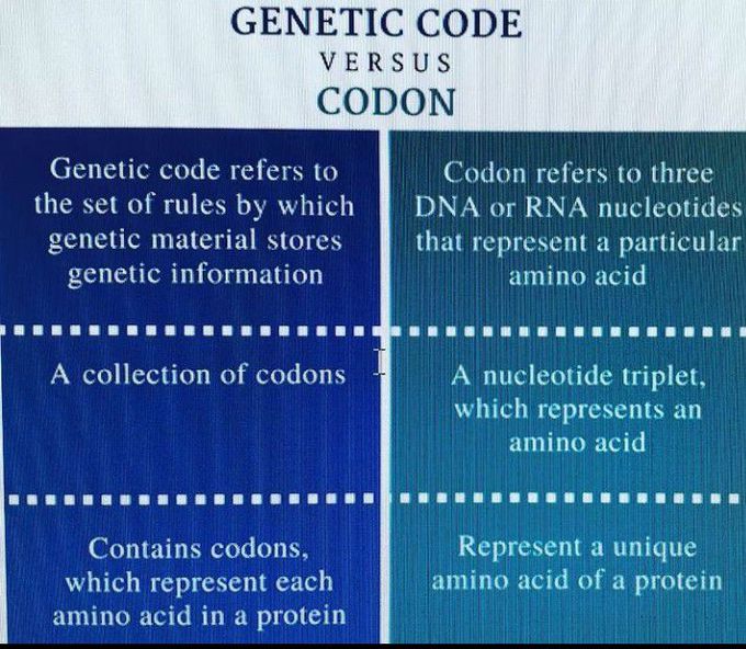 Genetic code vs codon