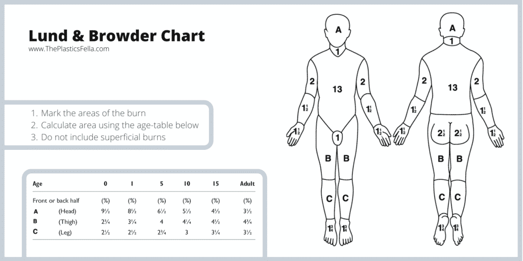 burn scale chart Burns archives – limmer education, llc