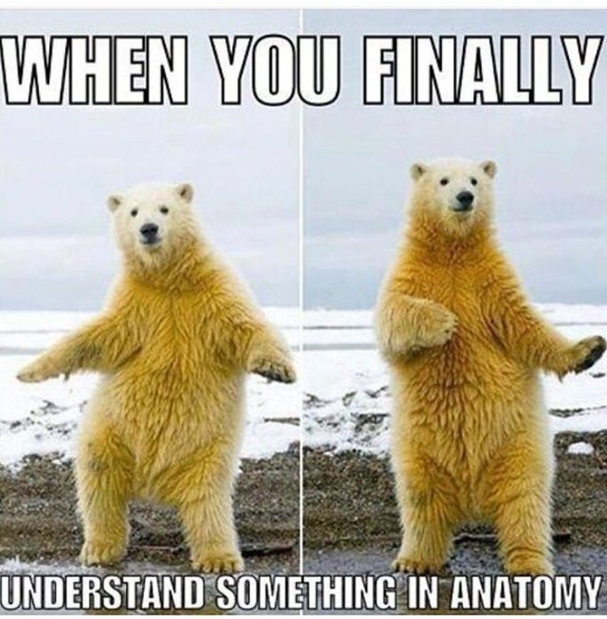 Relatable ? 😂😂