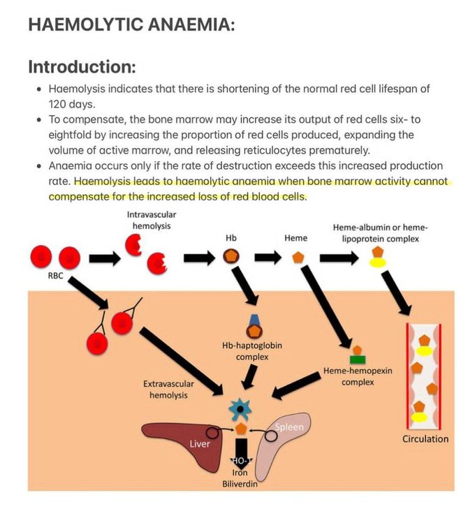 Hemolytic Anemia I