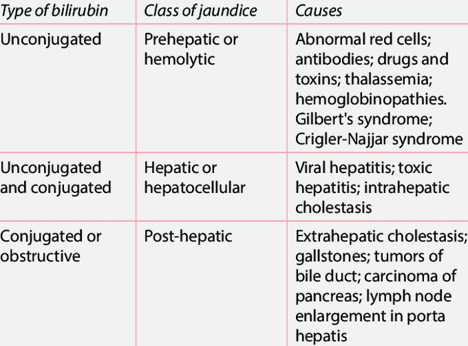 Classification Of Jaundice Medizzy 
