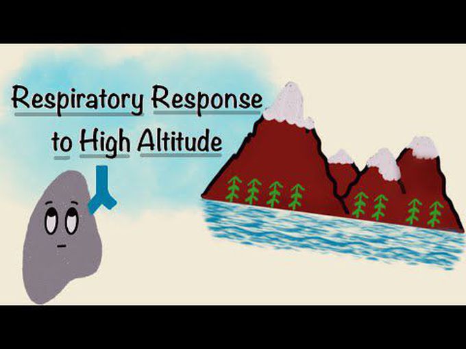 Respiratory Changes at High Altitudes