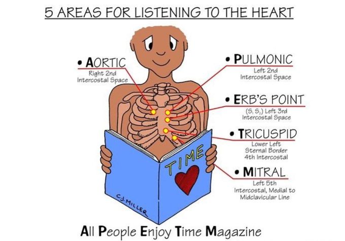 STANDARD SITES FOR AUSCULTATION OF HEART SOUNDS-MNEMONIC
