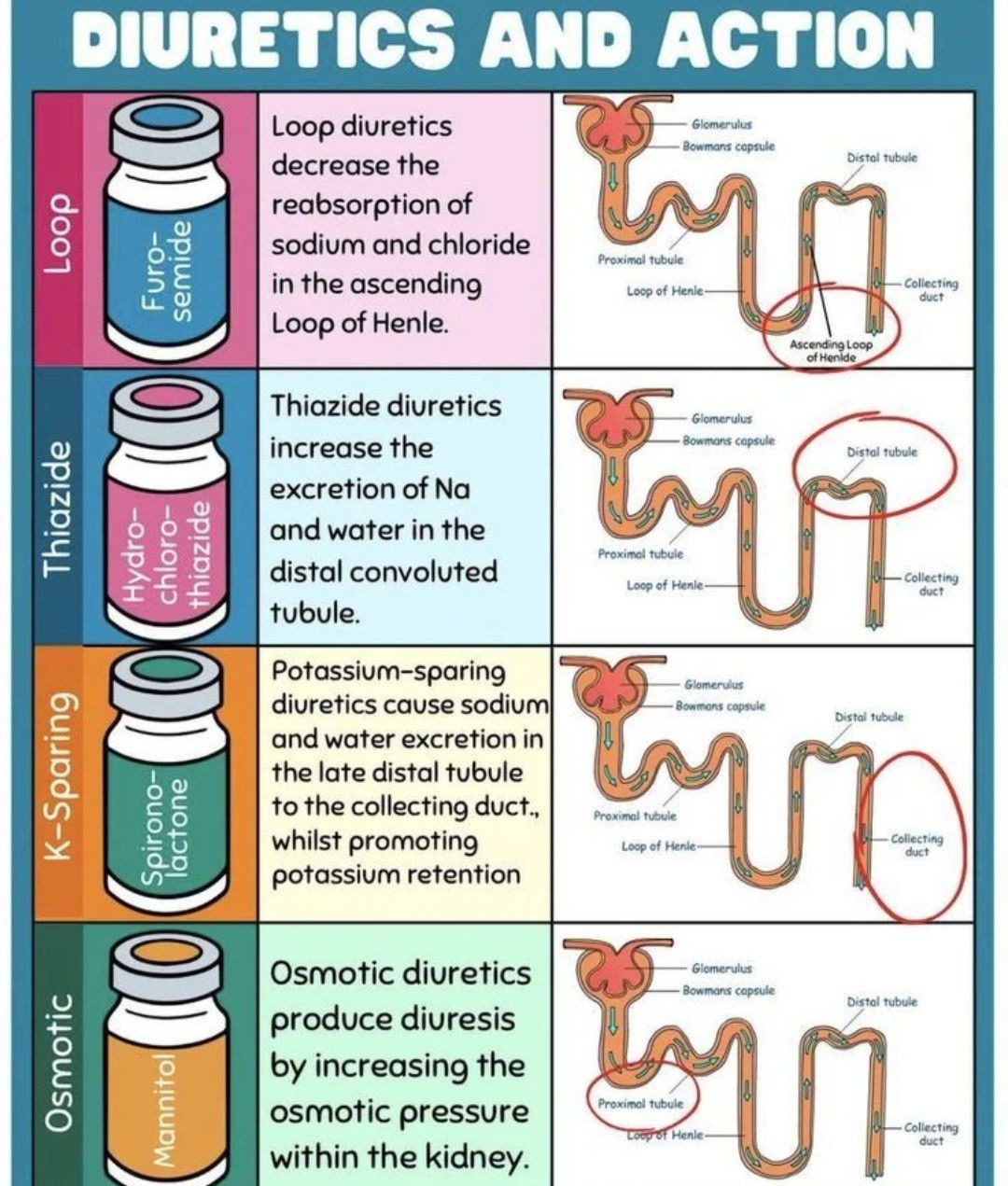 Diuretics MEDizzy