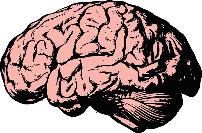 Electronic device implanted in the brain could stop seizures