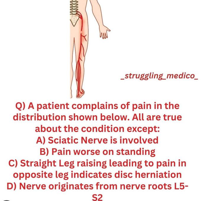 Pain History