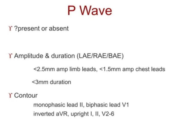 P wave