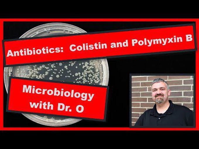 Polymyxin B and E Antibiotics