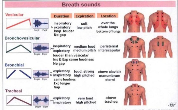 Breath sounds