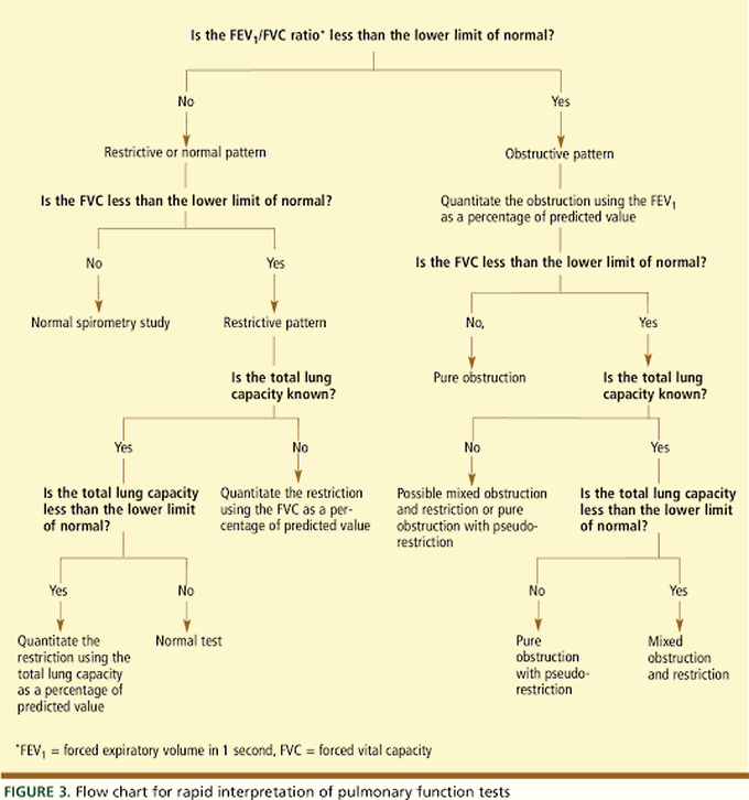 Pulmonary Function Test Interpretation