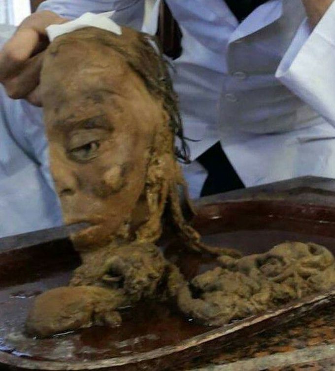 Лицо (face) ;анатомия человека(anatomy) 😷