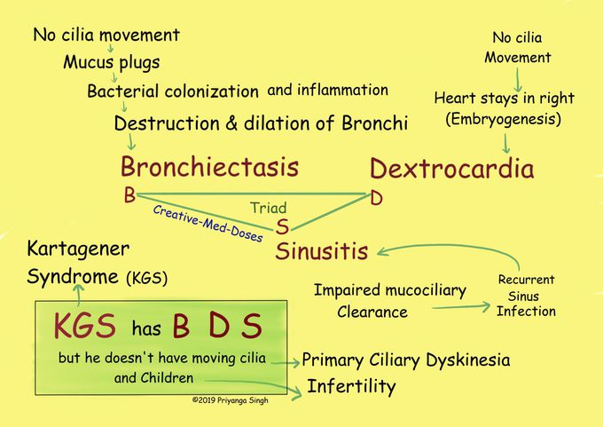 Symptoms of Kartagener's syndrome