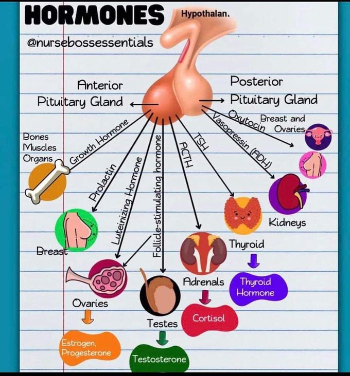 Pituitary Hormones