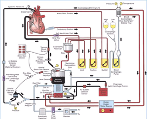 Happy Perfusion week to all my cardiac perfusionist and - MEDizzy