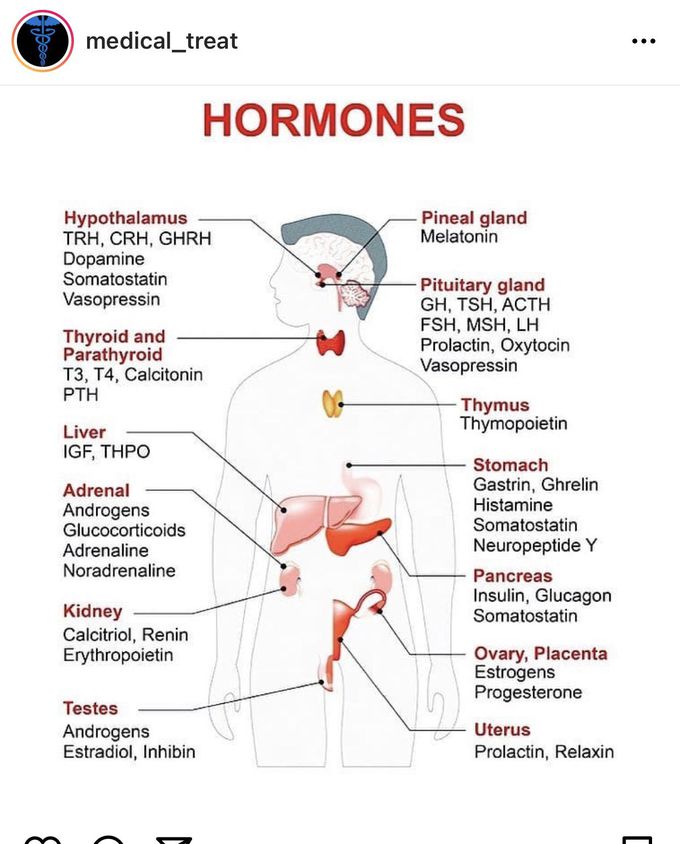 Endocrine