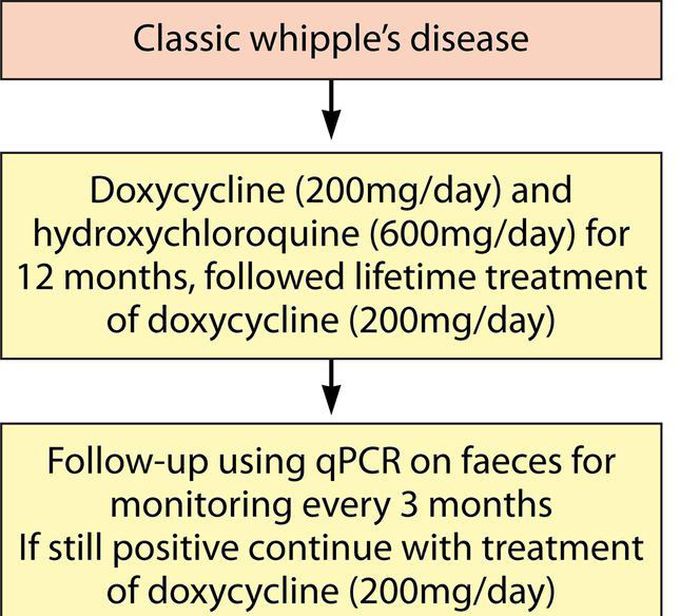 Treatment for Whipple disease