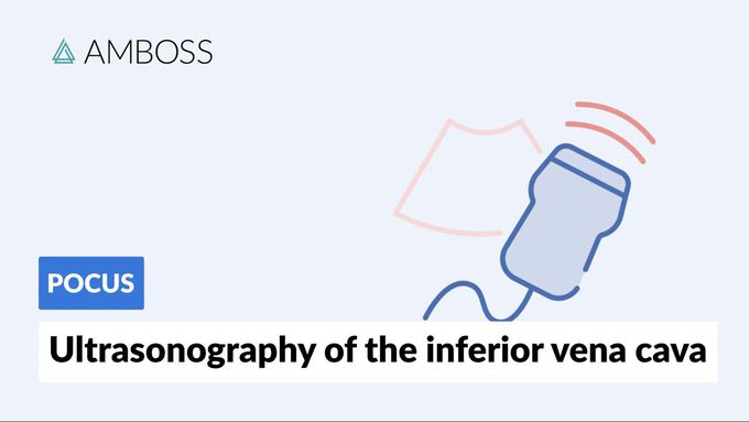 Point of Care Ultrasound of the Inferior Vena Cava (IVC) - AMBOSS Video
