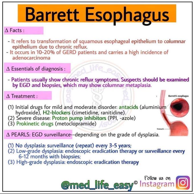 Esophagus