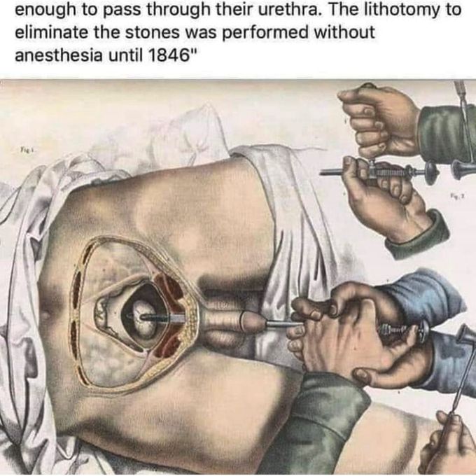 Enough to  pass  through  their  urethra.