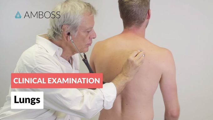 Clinical Examination of the Lungs