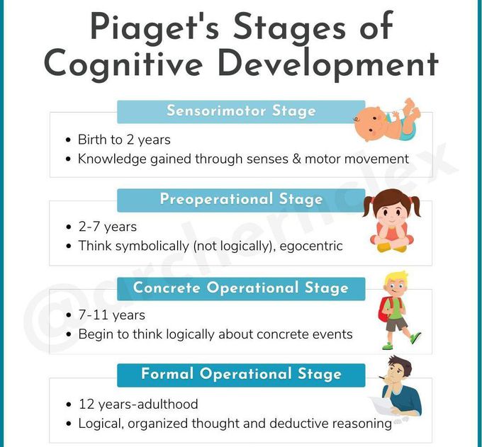 Piaget's Stages - MEDizzy