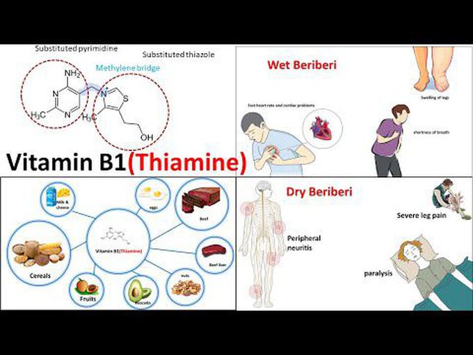 Introduction to Vitamin B1 (Thiamine)