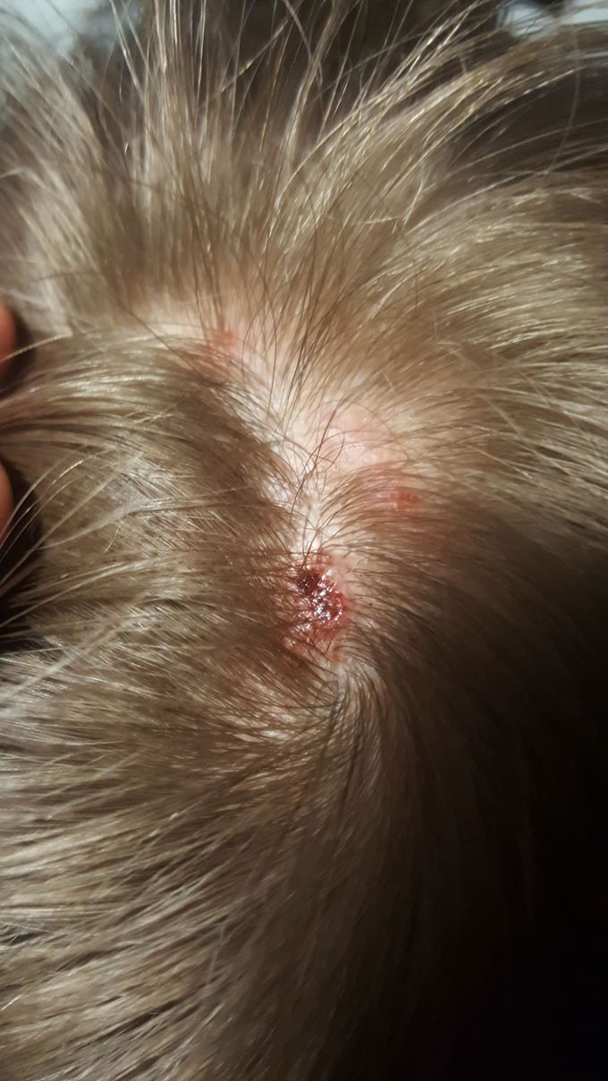 Diagnose this, please