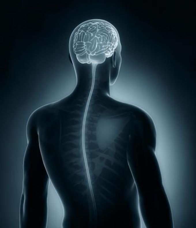 Paralyzed man walks again after nose cells repair his spinal cord