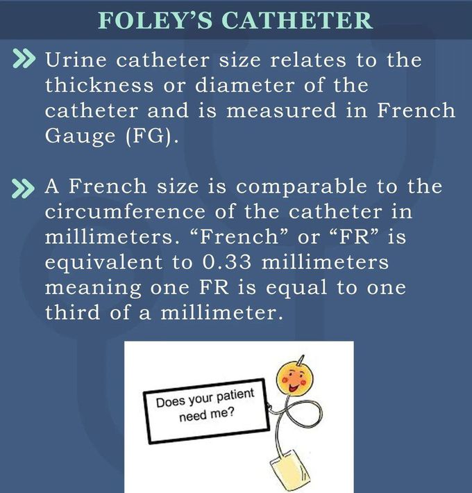 Foley's Catheter I