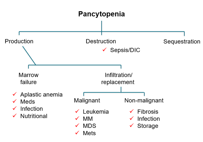 Pancytopenia Symptoms