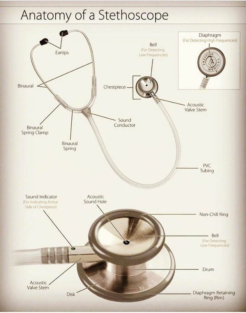 Anatomy Of A Stethoscope