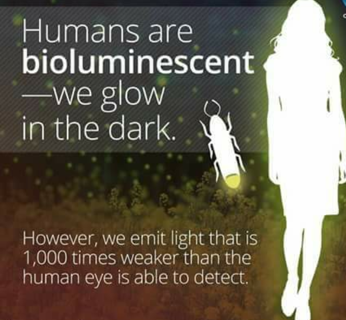 Light emitted by us😮
