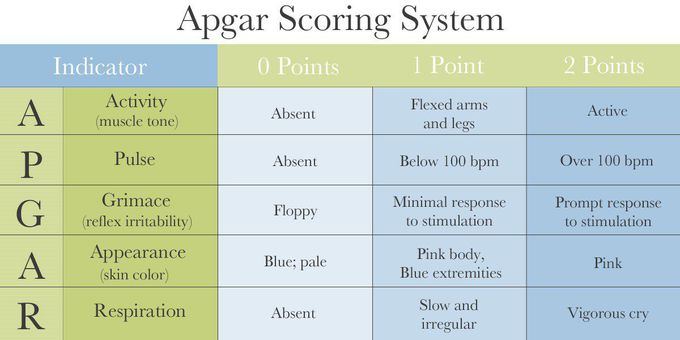 Apgar 101: Specifics and Scoring