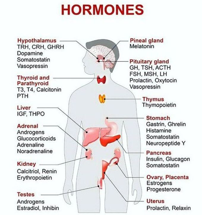 Hormones