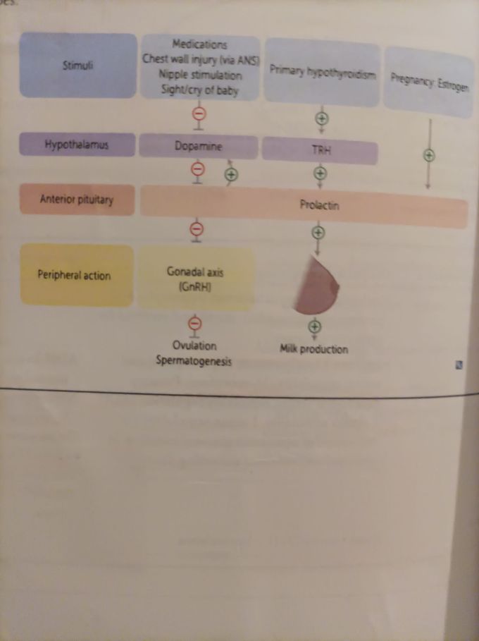 Prolactin