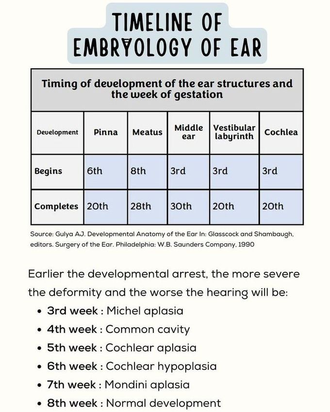 Timeline of Embryology of Year