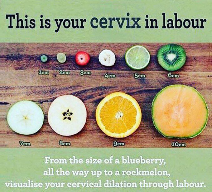 Found this picture is interesting - dilation of Cervix!! ❤️