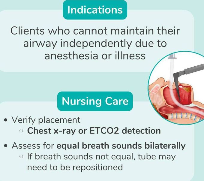 Endotracheal Tube II