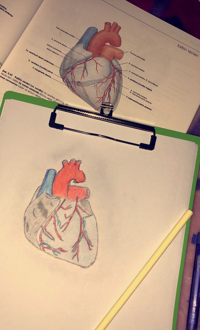 My first experience with this type of drawings 😌❤️