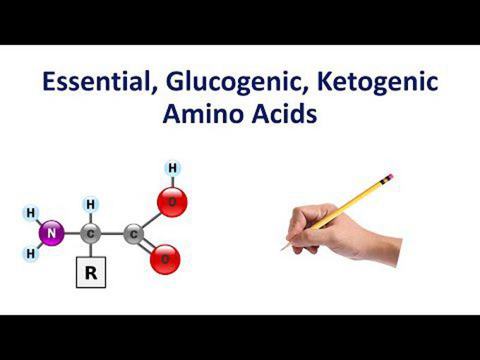 What are amino acids made up of ?