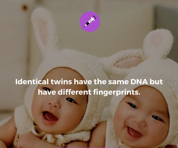 Twins babies