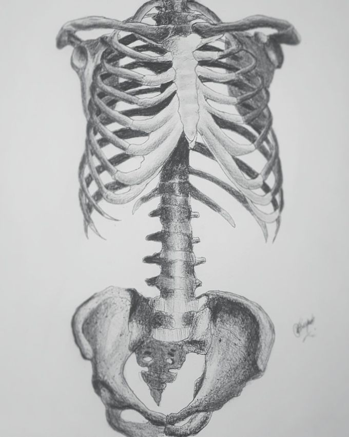 #draw #your #mind #art #anatomy