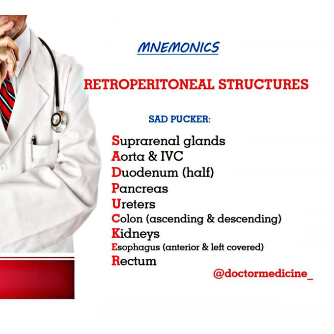 Anatomy mnemonics